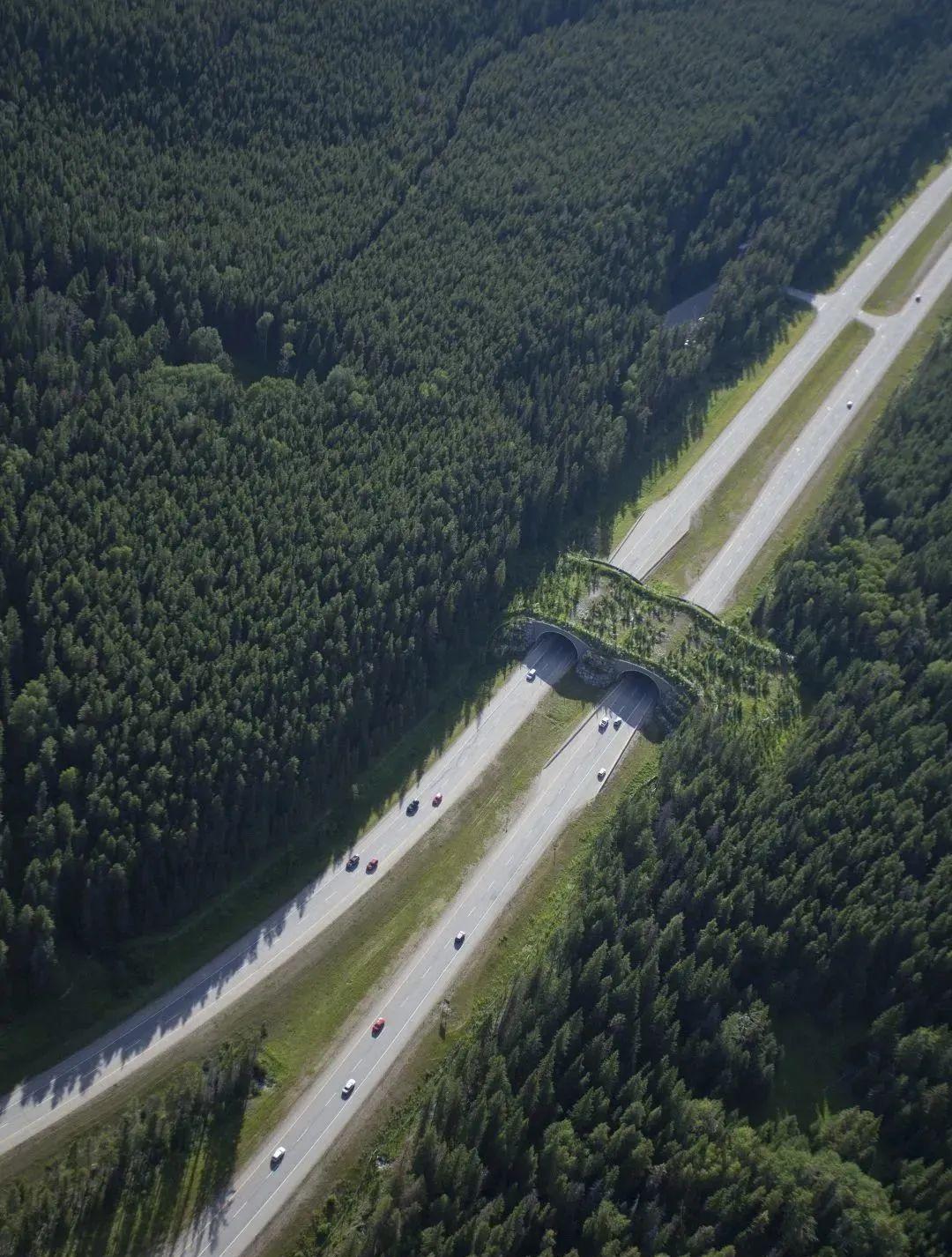 美國加拿大旅游路線_美國加拿大旅游_加拿大去美國旅游