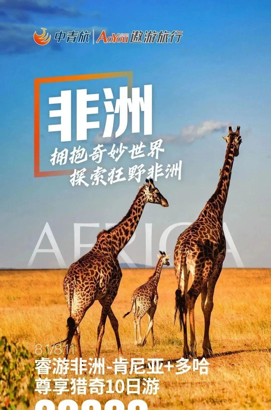 中青旅網絡服務_中青旅游網_中青旅遨游網