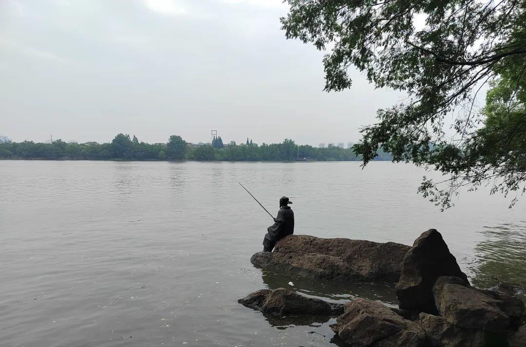 旅游千島湖的朋友圈微信_旅游千島湖攻略_千島湖的旅游