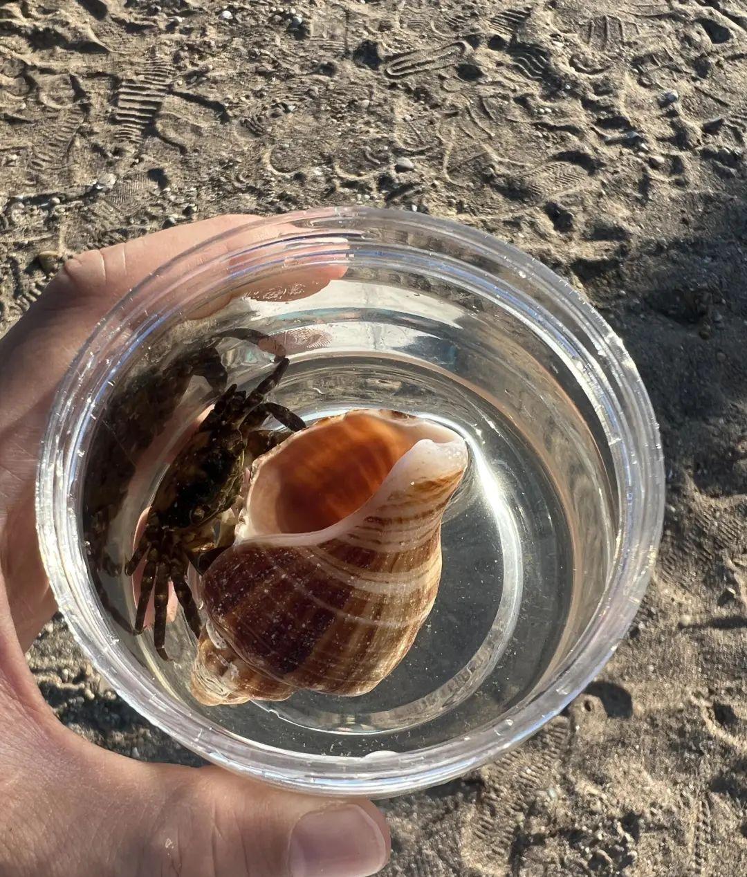 沈陽至青島自駕游_自駕沈陽青島游最佳路線_沈陽自駕到青島攻略