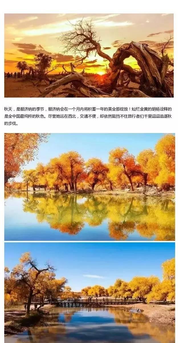 西安自駕額濟納旗攻略_自駕西安游額濟納旗路線_西安額濟納旗自駕游