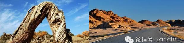 自駕西安游額濟納旗路線_西安額濟納旗自駕游_西安自駕額濟納旗攻略