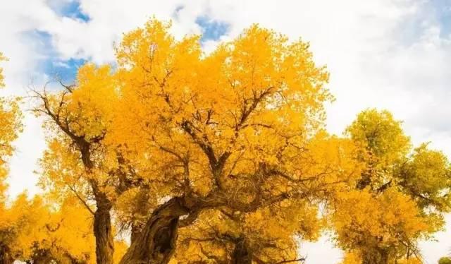 西安額濟納旗自駕游_西安自駕額濟納旗攻略_自駕西安游額濟納旗路線