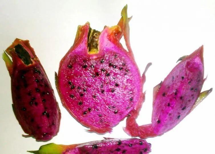 天津到九寨溝自由行_天津到九寨溝自駕游_天津到九寨溝跟團(tuán)游