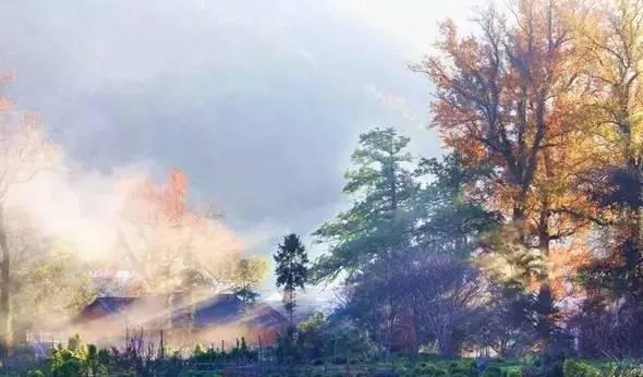 九江市周邊自駕游_九江附近自駕游哪里好玩_九江近郊自駕游一日游