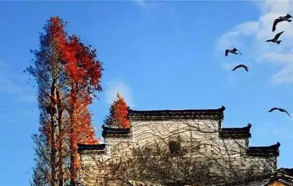 九江附近自駕游哪里好玩_九江近郊自駕游一日游_九江市周邊自駕游