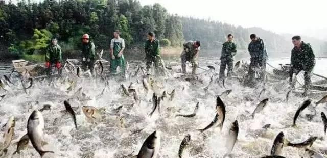 九江附近自駕游哪里好玩_九江市周邊自駕游_九江近郊自駕游一日游