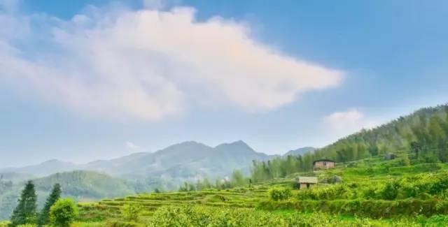 九江市周邊自駕游_九江附近自駕游哪里好玩_九江近郊自駕游一日游