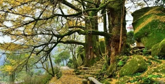 九江市周邊自駕游_九江近郊自駕游一日游_九江附近自駕游哪里好玩