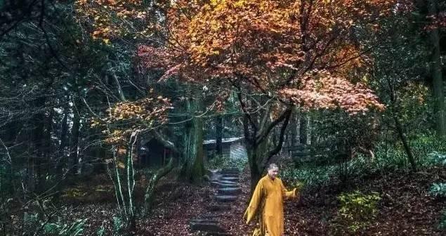 九江近郊自駕游一日游_九江附近自駕游哪里好玩_九江市周邊自駕游