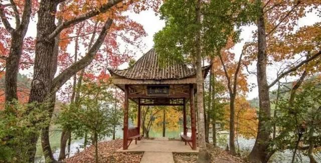 九江近郊自駕游一日游_九江附近自駕游哪里好玩_九江市周邊自駕游