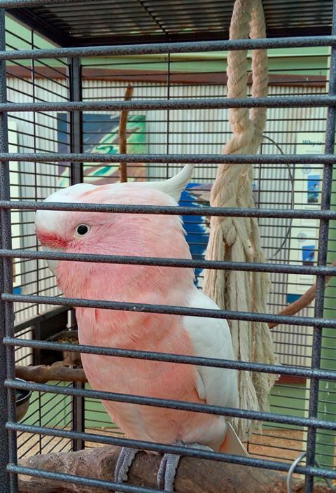 珀斯自駕游_珀斯旅行_珀斯旅游景點攻略