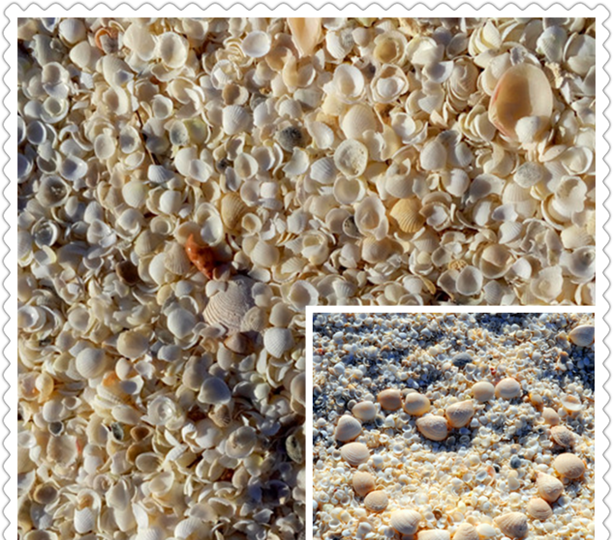 珀斯旅行_珀斯自駕游_珀斯旅游景點攻略