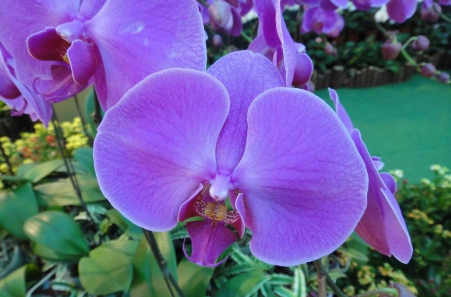 火車小知識_火車知識小問題大全_火車知識小問題大全集