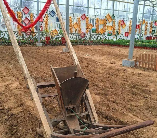 景點鄭州旅游距離近怎么辦_景點鄭州旅游距離近的有哪些_距離鄭州近的旅游景點