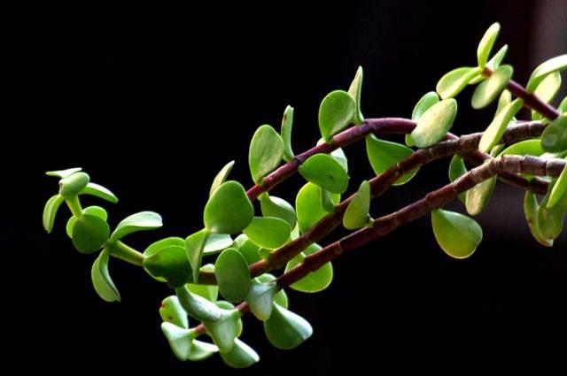 威海至滕州火車時(shí)刻表_威海到滕州的火車_威海到滕州火車票