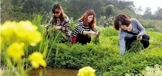 威海到滕州火車票_威海到滕州的火車_威海至滕州火車時(shí)刻表