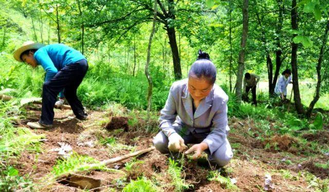 威海到滕州火車票_威海到滕州的火車_威海至滕州火車時(shí)刻表