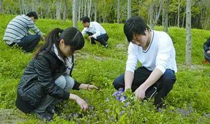 威海到滕州的火車_威海到滕州火車票_威海至滕州火車時(shí)刻表