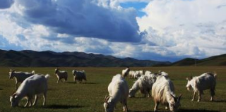 自駕游呼倫貝爾攻略_自駕呼倫貝爾旅游攻略_呼倫貝爾自駕游推薦