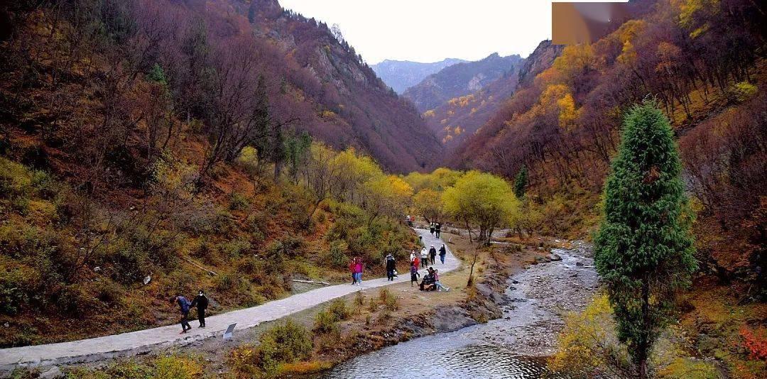 秦嶺冬季自駕旅游最美線路_冬天秦嶺一日游_秦嶺冬季自駕游攻略