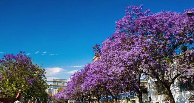 自駕拉薩路線深圳游玩攻略_深圳拉薩自駕游路線_深圳自駕拉薩多長時間