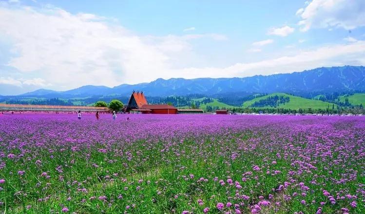 那拉提自駕游價格_那拉提自駕游門票多少錢_那拉提自駕車營地