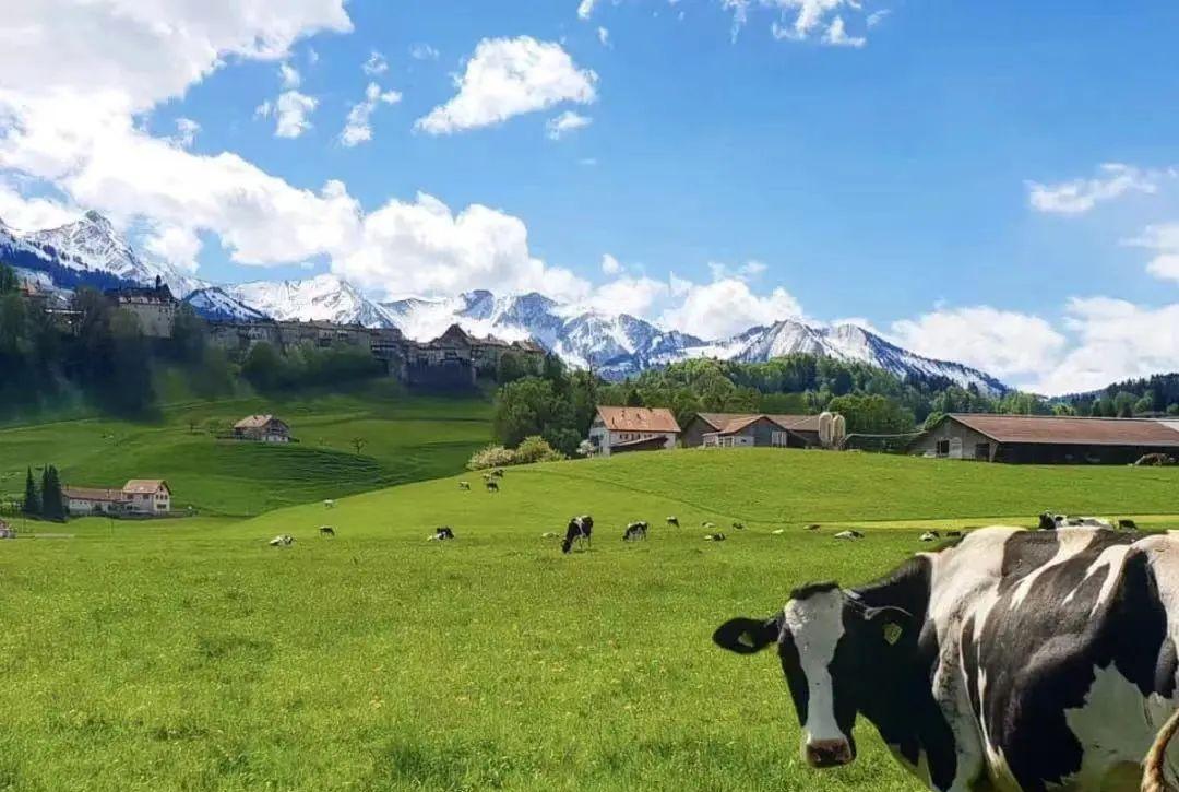 現(xiàn)在哪里旅游最好_旅游還行_現(xiàn)在的旅游