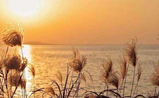 雨季旅游適合去的地方_雨季適合去哪里旅游_雨季旅游適合去哪里