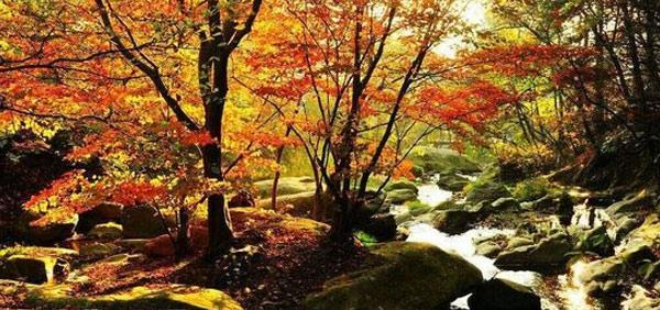 九江旅游廬山好玩嗎_九江廬山旅游_九江攻略廬山