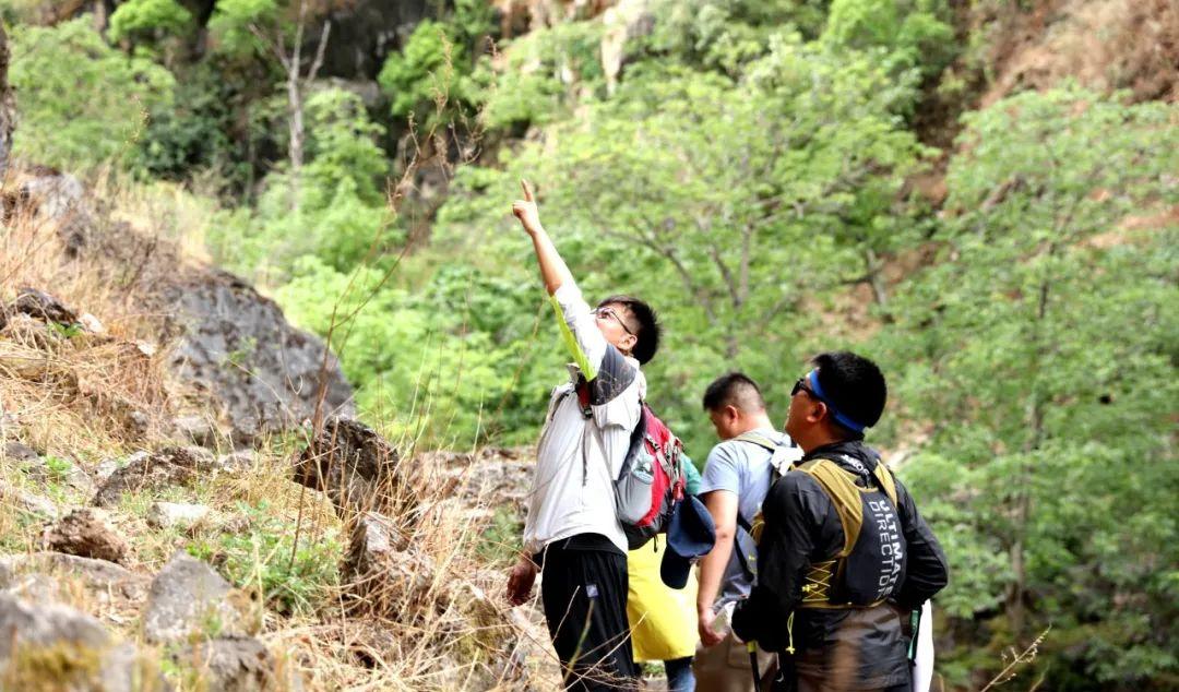 綿陽(yáng)到麗江自駕游需要多少費(fèi)用_綿陽(yáng)自駕麗江五天旅游線路_綿陽(yáng)到麗江自駕游