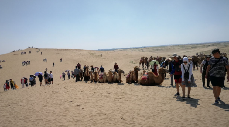 大同到寧夏自駕游攻略_大同到寧夏自駕游_大同到銀川自駕