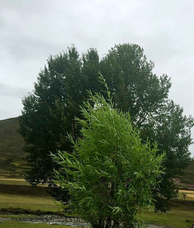 自駕西藏路書_陸巡西藏自駕游_自駕游西藏旅游線路