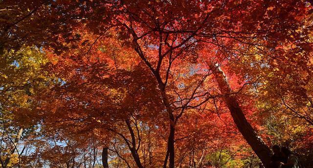 上海周邊四天自駕游_上海周邊兩天_夏天上海周邊自駕游推薦表