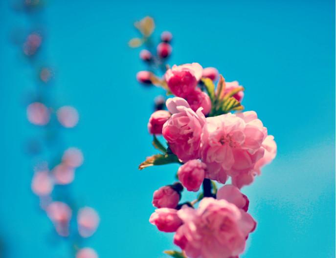 旅游最好的月份_旅游比較好_5月去哪里旅游最好