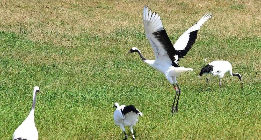冬季旅游適合去哪些城市_冬季適合去哪里旅游_冬季旅游適合去哪里