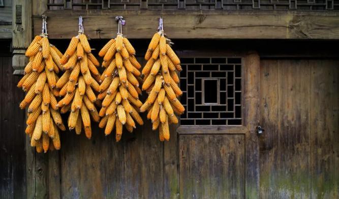 懷化旅游十大景點_懷化旅游景點_懷化主要旅游景點