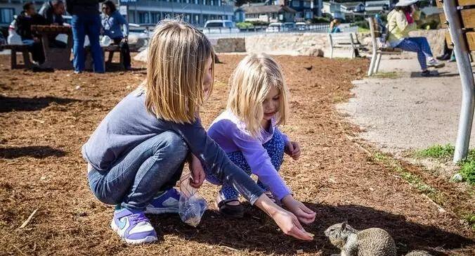 圣何塞自駕游_圣何塞旅游攻略_圣何塞景點