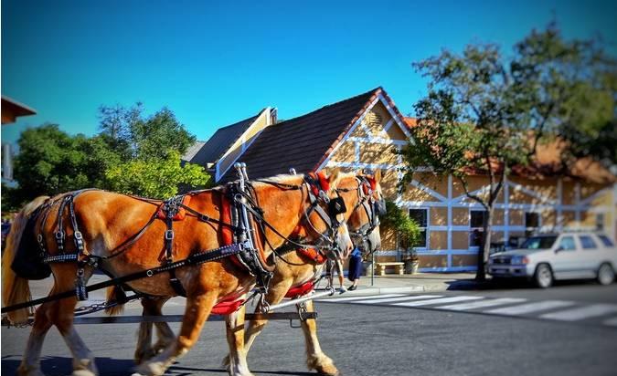 圣何塞景點_圣何塞旅游攻略_圣何塞自駕游