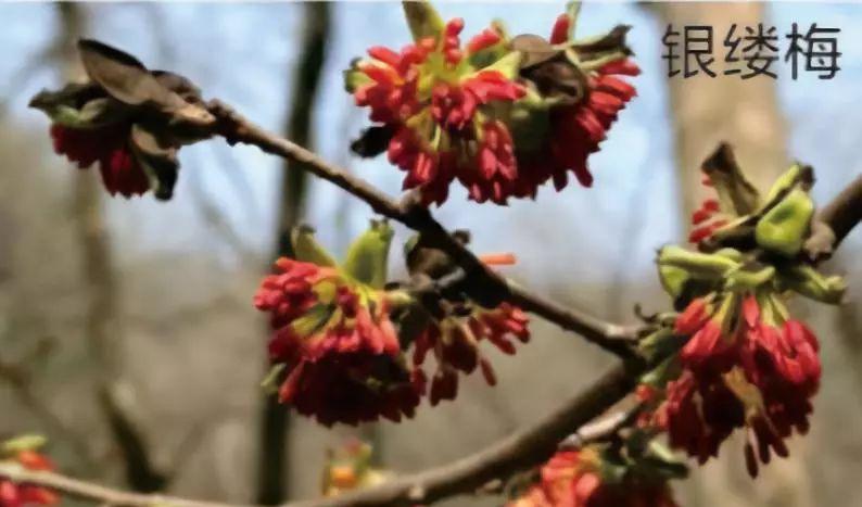 寧波地圖旅游景點(diǎn)_寧波地圖旅游攻略_寧波旅游地圖