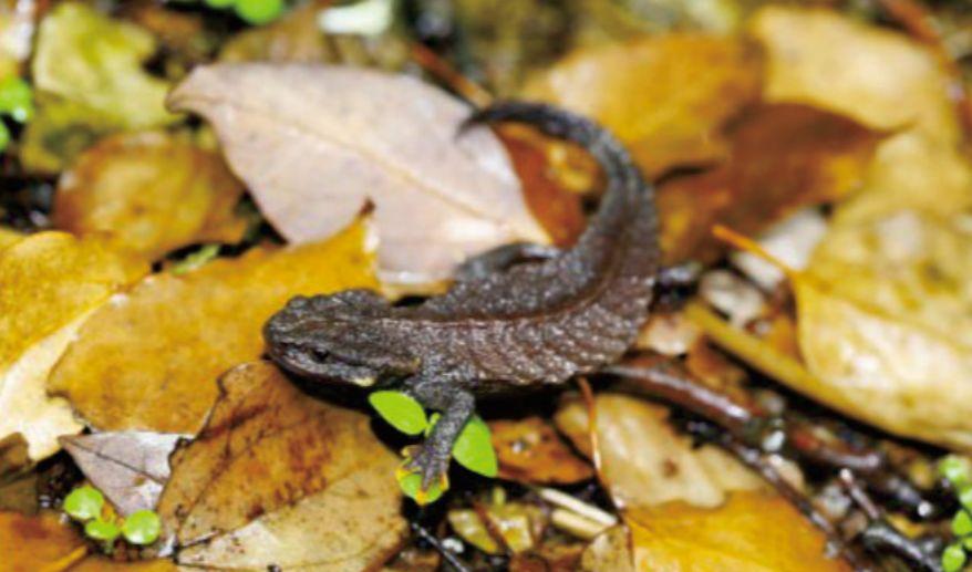 寧波地圖旅游景點(diǎn)_寧波地圖旅游攻略_寧波旅游地圖