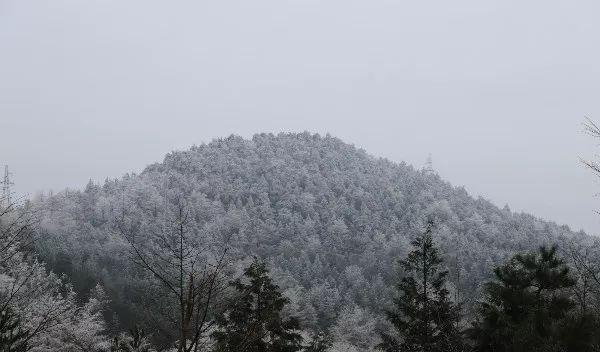 寧波地圖旅游景點(diǎn)_寧波地圖旅游攻略_寧波旅游地圖