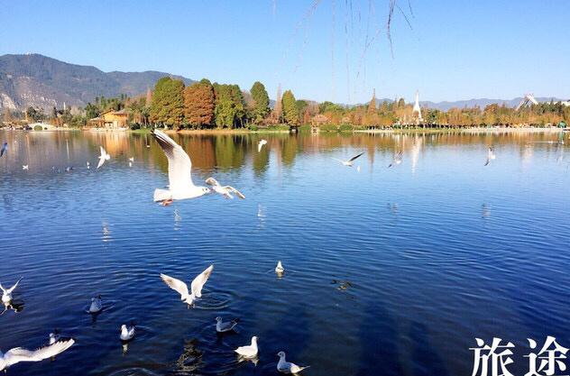 重慶自駕杭州中間哪里休息_自駕杭州重慶游到哪里合適_重慶到杭州自駕游