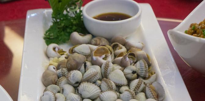 福鼎周邊自駕游年輕人_福鼎自駕游_福鼎自駕游攻略