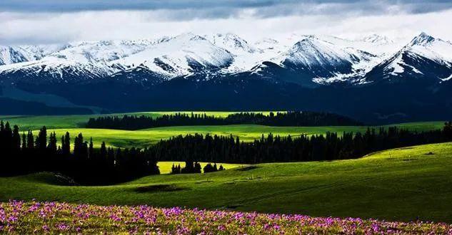 巴里坤自駕游攻略_巴里坤旅游線路_巴里坤自駕游線路