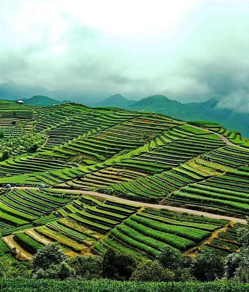 福鼎周邊自駕游年輕人_福鼎自駕游攻略2日游_福鼎自駕游