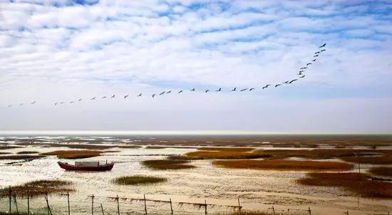 夏末初秋回饋游,特價(jià)一日游、二日游等你來
