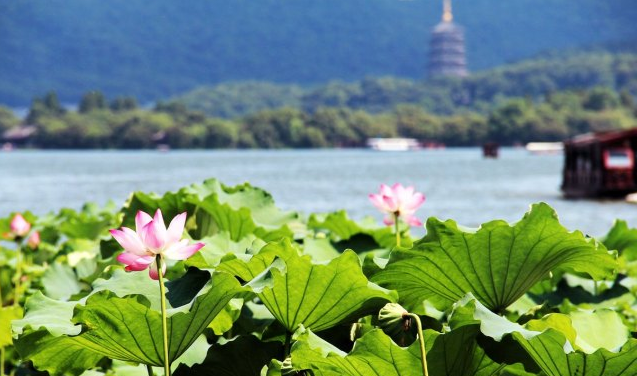 杭州自駕游景點_杭州自駕游哪里好玩_杭州自駕游路線