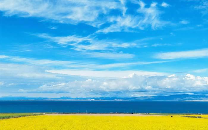 青藏火車沿途風(fēng)景