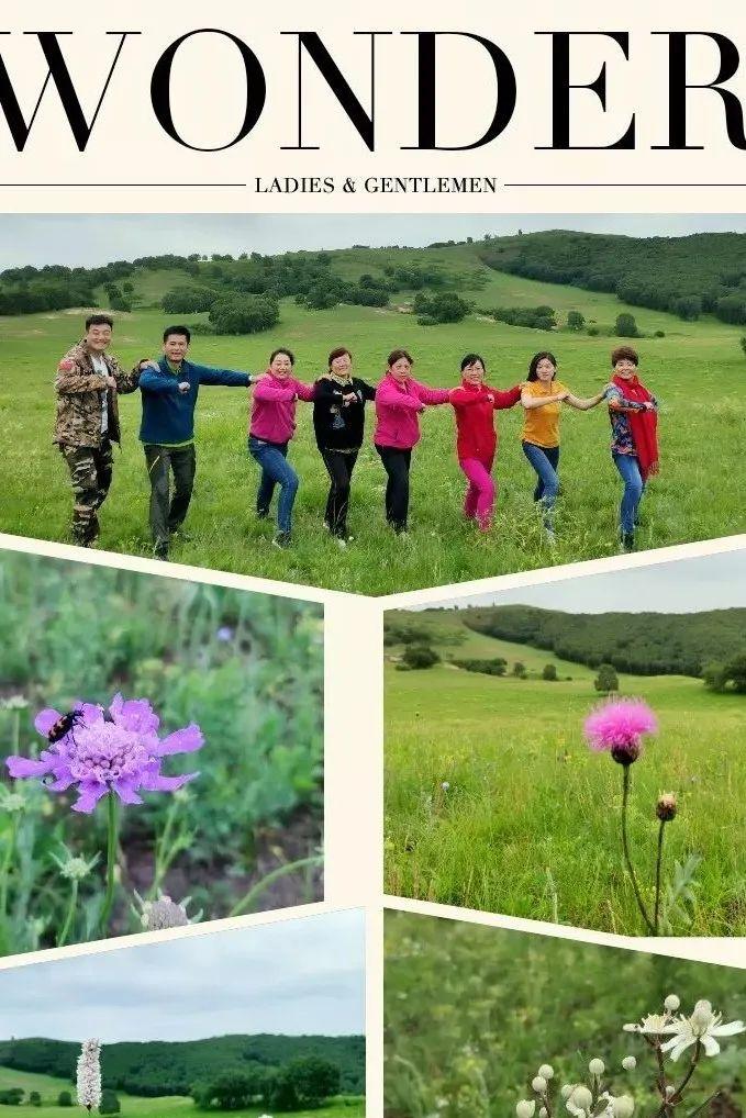 野山坡露營_自駕跑山路線_野山坡自駕游攻略